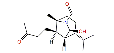 Halichon F